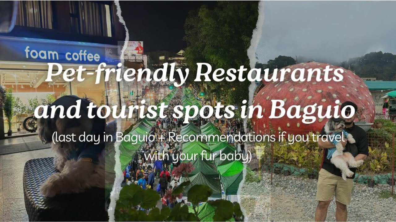 Baguio #2: Pet-friendly Restaurants and Tourist Spots | Its Naa
