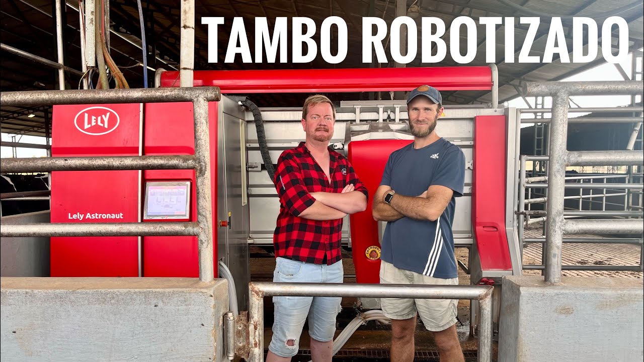 Cómo funciona un tambo robotizado? Establecimiento Las Palmas