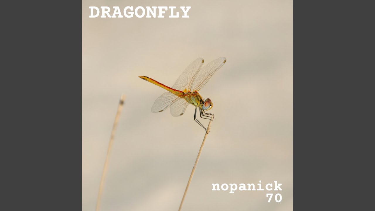 Dragonfly