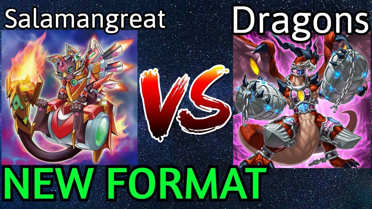 Salamangreat Vs Dragon Link NEW FORMAT Yu-Gi-Oh!