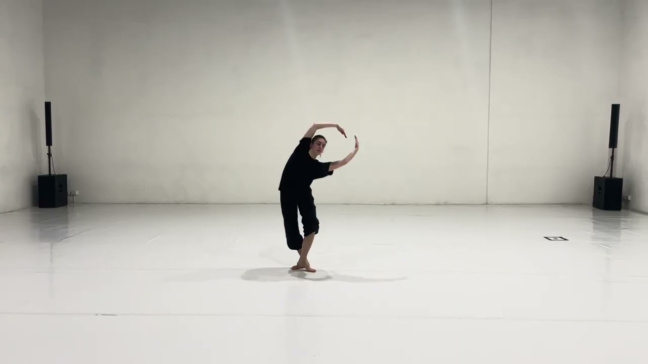 Repertoire extract from “I AM BEAUTIFUL” Zappalá Danza, 2016. Taught by Maud de la Purification.