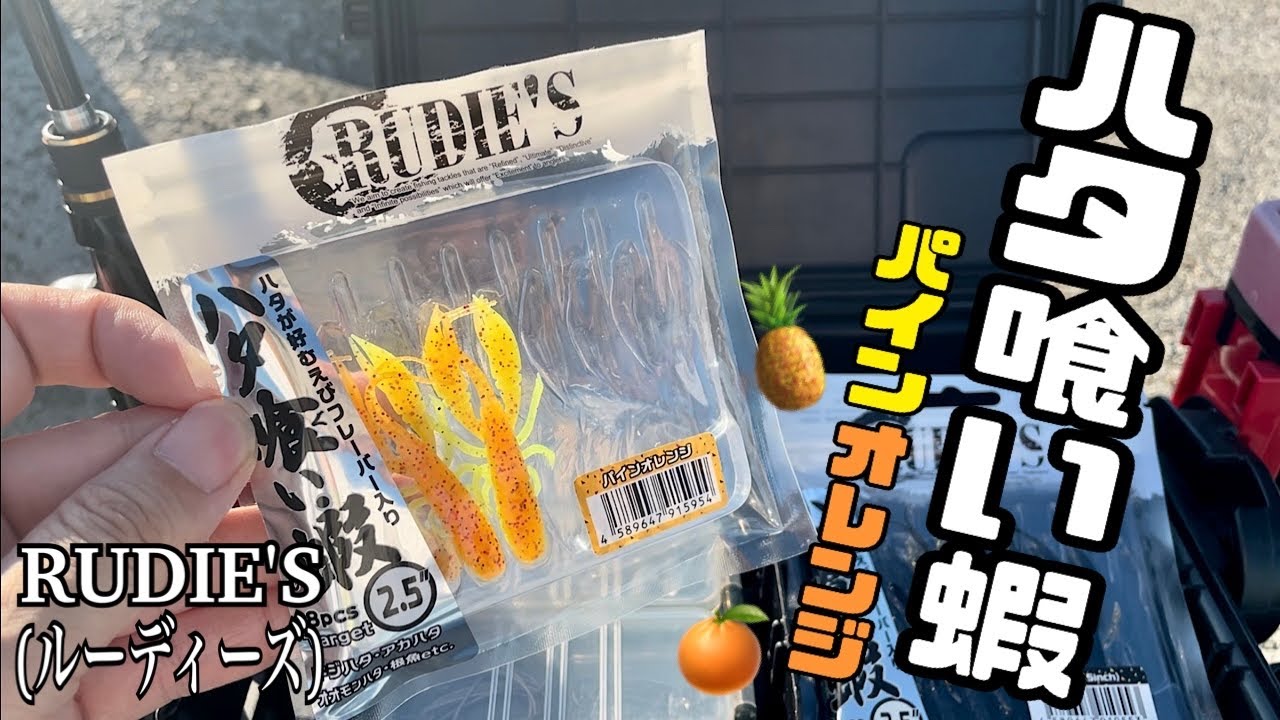 これはヤバい！アタリ連発っ魅惑のワーム！