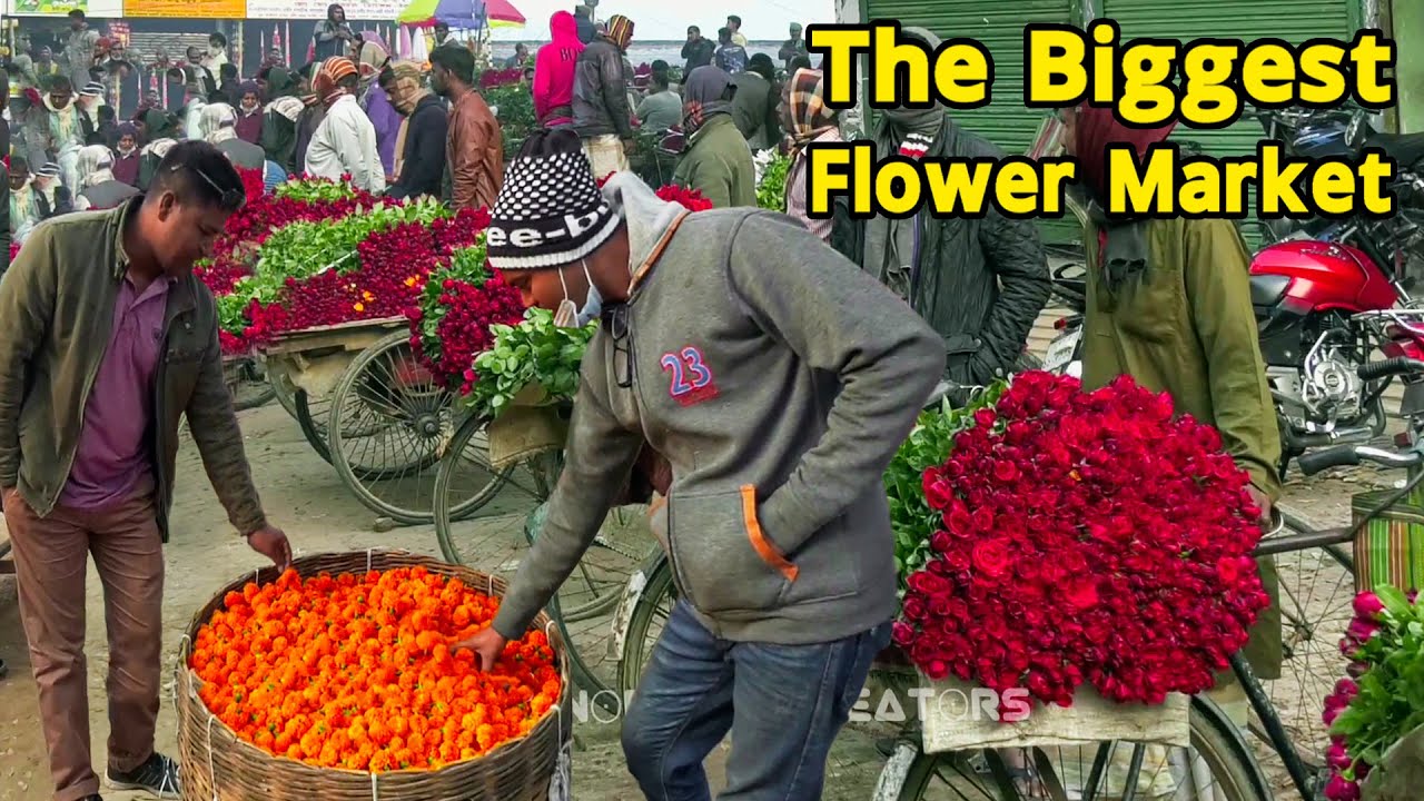 বাংলাদেশের সবচেয়ে বড় ফুলের আড়ৎ গদখালী | যশোর | Flower Market in Bangladesh
