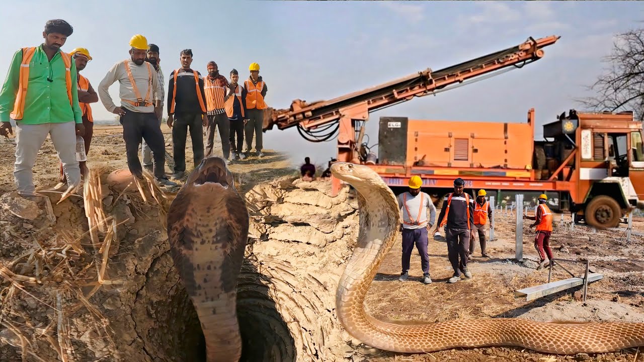 बोअरवेल के अंदर कई दिनों से गिरे हुए सबसे जहरीले गेहूंअन कोबरा सांप को देखिए कैसे बाहर निकाला..!!