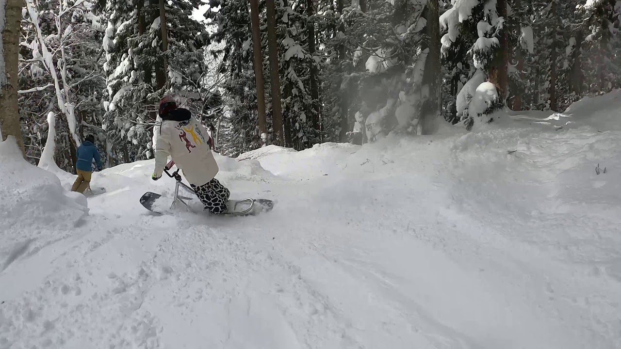 月曜日（祝）のパウダー天国スクート天国SNOWSCOOT