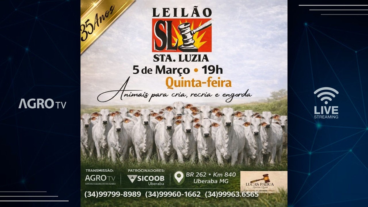 LEILÃO SANTA LUZIA - 05/03/2026