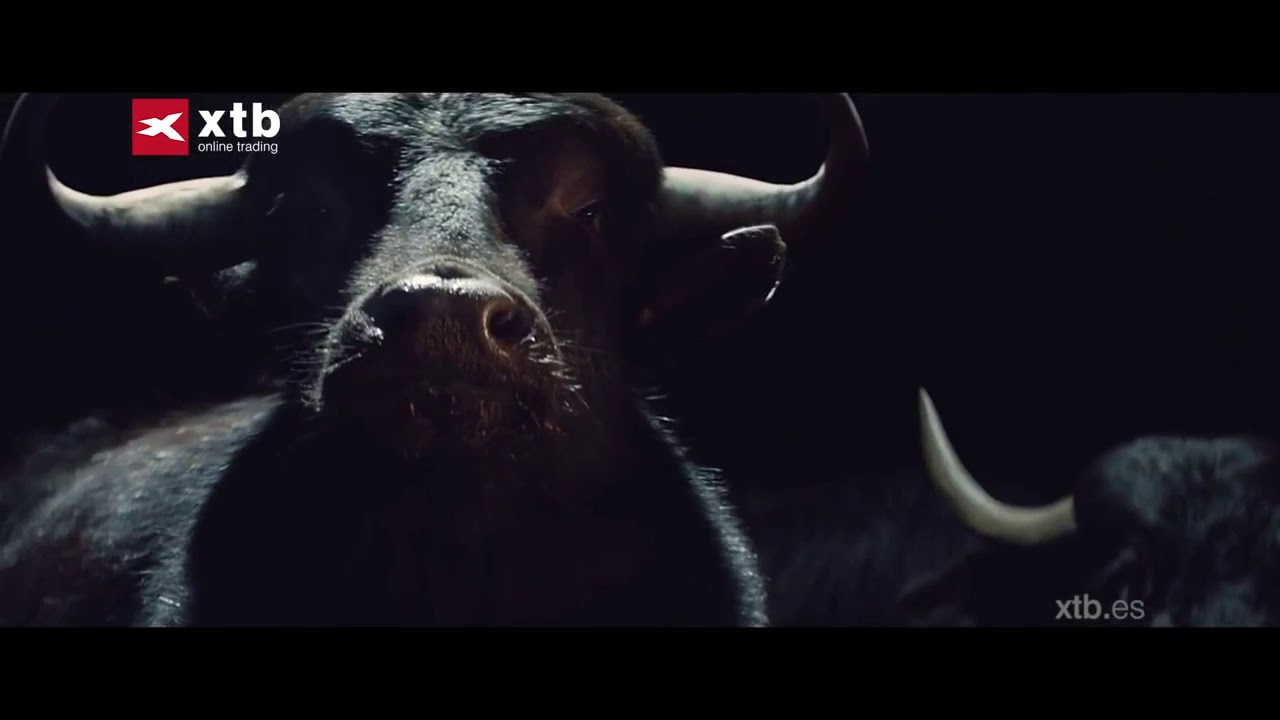 Xtb Per&uacute; - I Trade I Love it  - Mads Mikkelsen