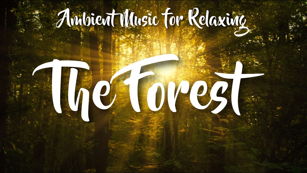 Ambient Music for Relaxing  - The Forest -  The quiet presence of nature
