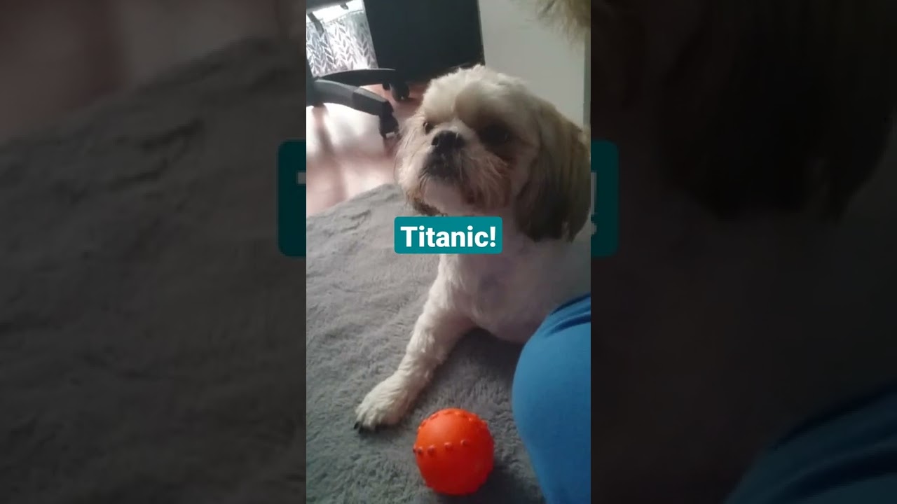 Titanic zatonął!!!