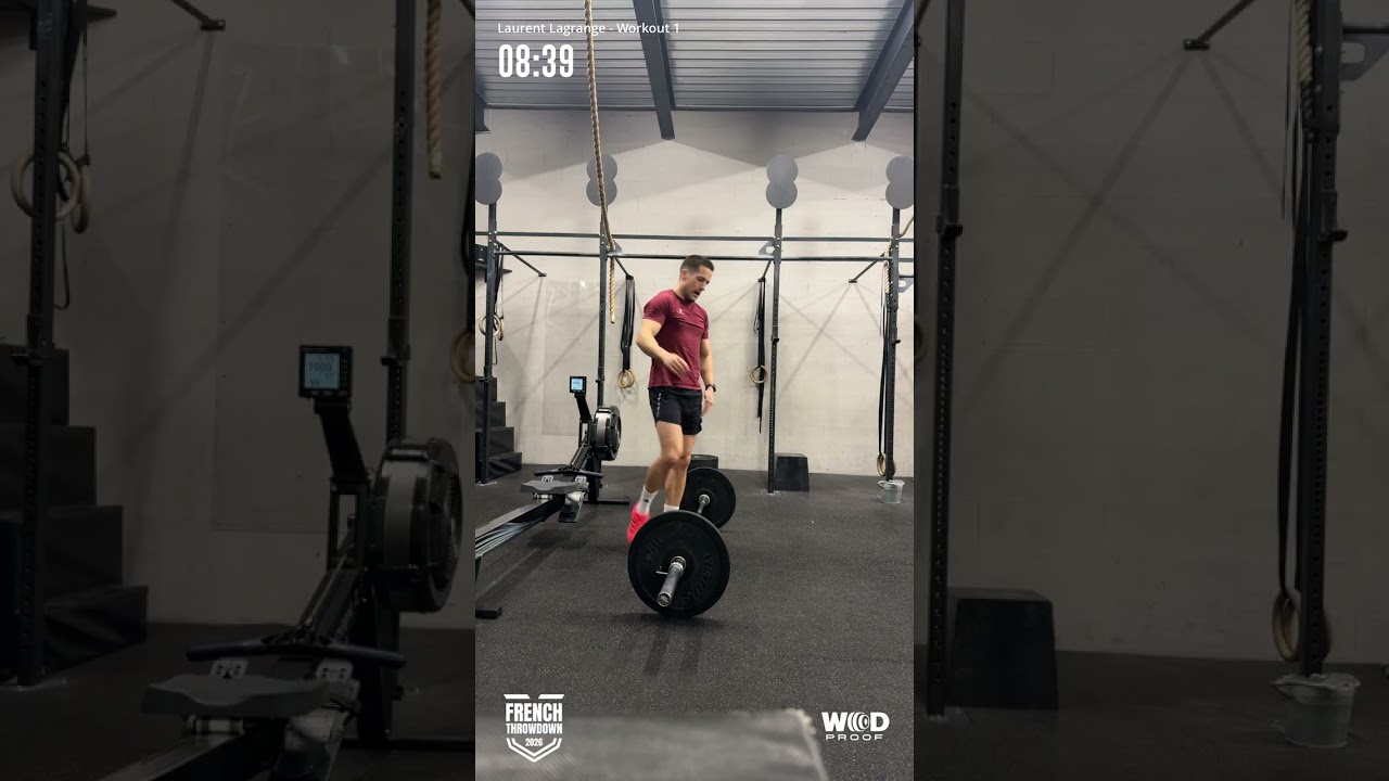 26.1
