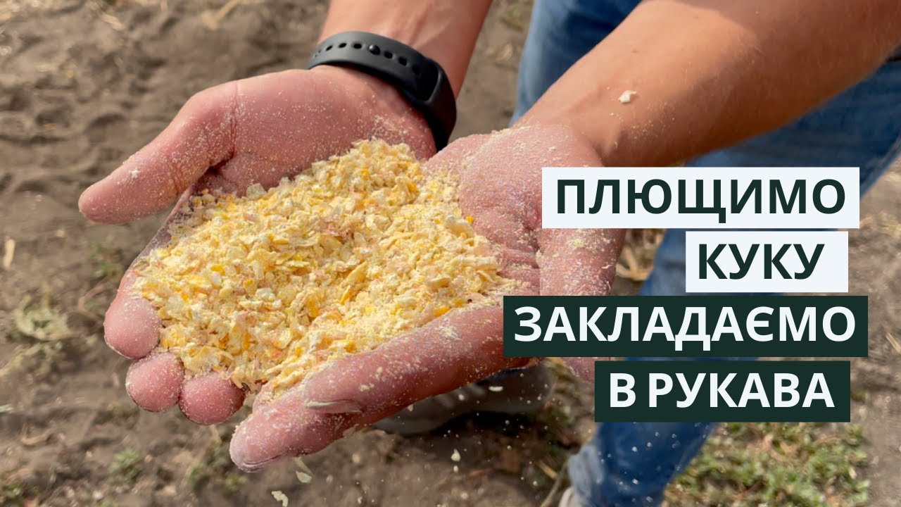 Плющення вологої кукурудзи, заготівля корнажу | АГ-БАГ-УКРАЇНА