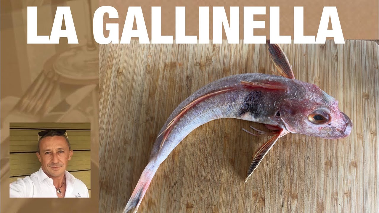 COME PULIRE E CUCINARE LA GALLINELLA O COCCIO