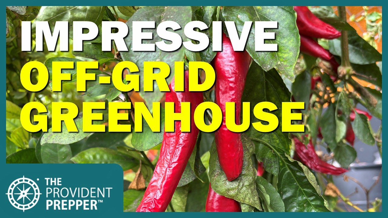 Food Security Starts Here: Inside a Fully Off-Grid Prepper Greenhouse