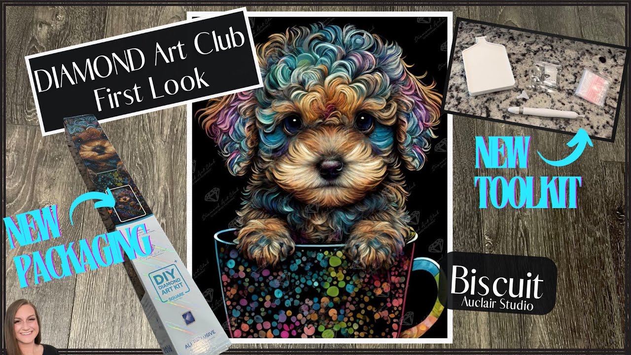 Diamond Art Club New Packaging🎉 New Tool Kit! Biscuit by Auclair Studios