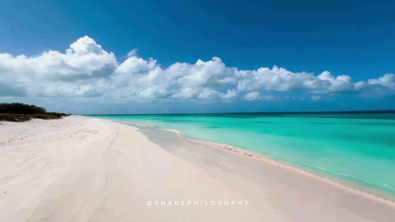Relaxing - 30-Minute Ocean Sound Meditation | Take a break with the Ocean | Calm | Background |Study