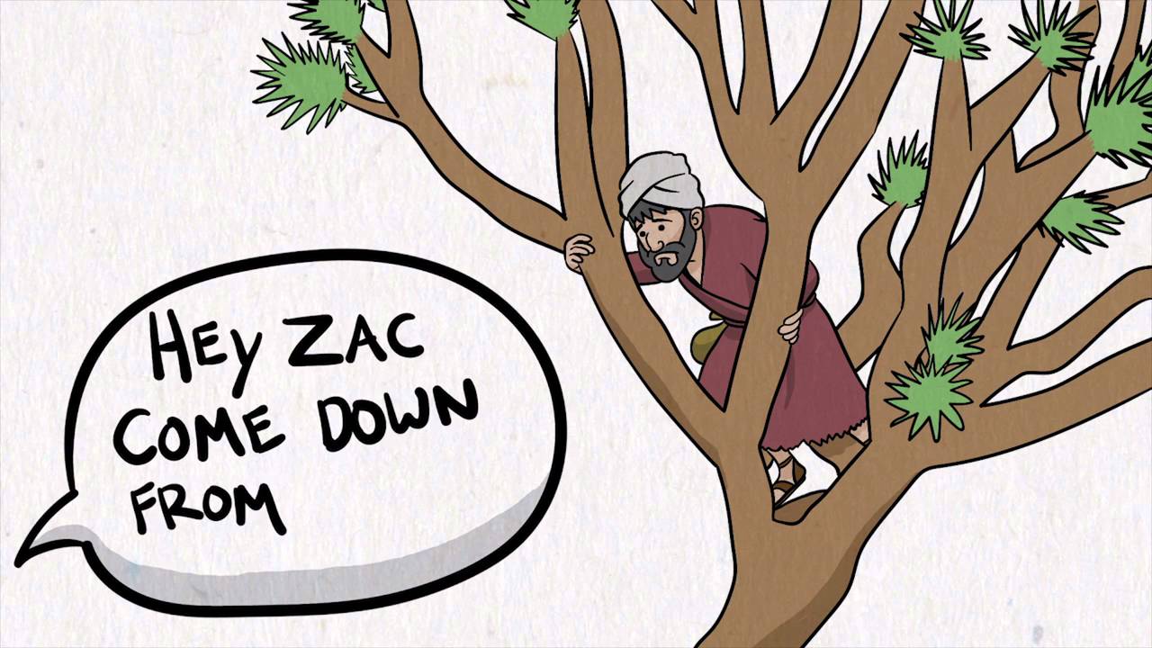 The Story of Zacchaeus | Song Story
