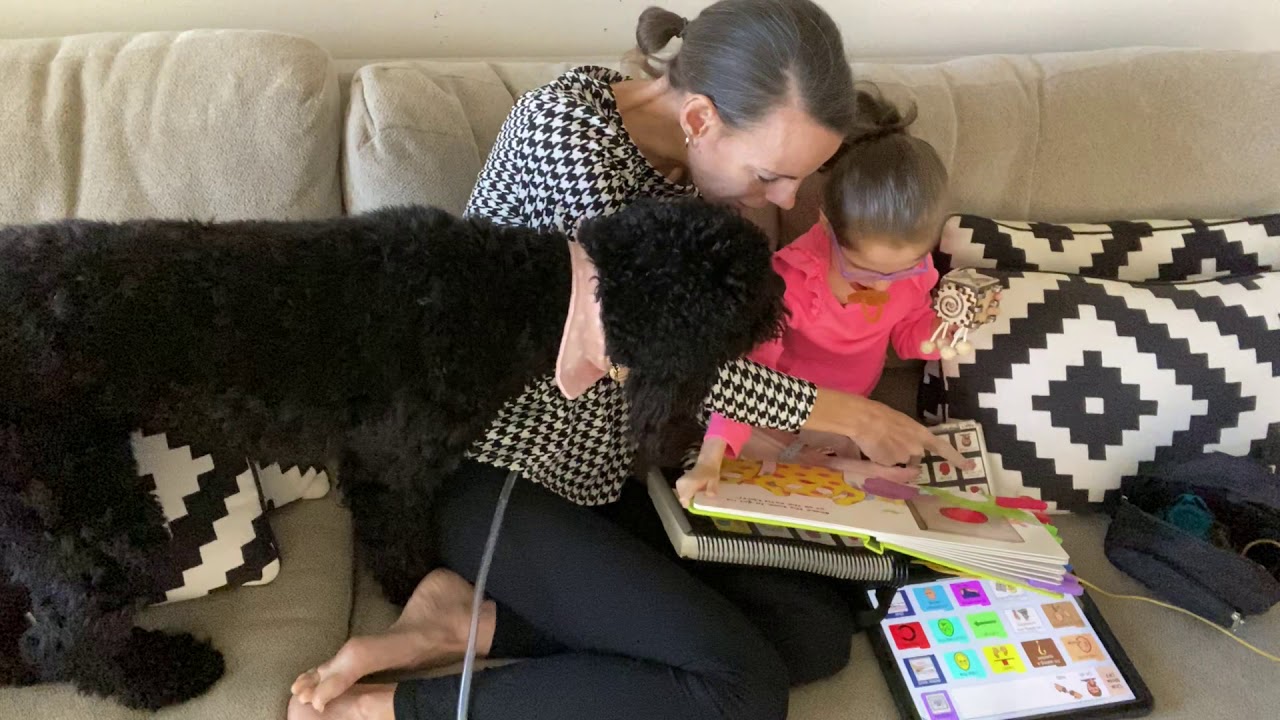 Reading a book and modeling PODD