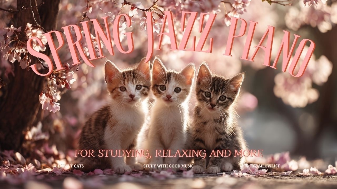𝙋𝙞𝙖𝙣𝙤 𝙋𝙡𝙖𝙮𝙡𝙞𝙨𝙩 I Lovely Jazz Piano Playlist for relaxing, studying... etc :)