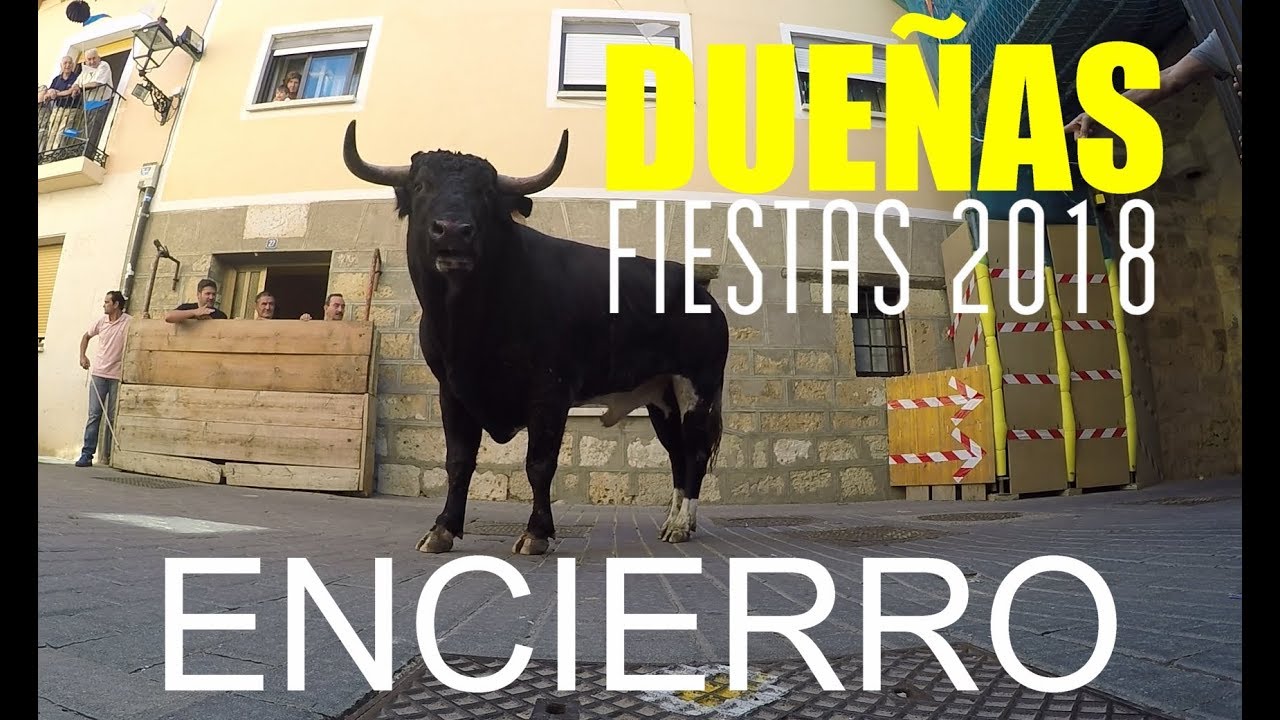 DUEÑAS ENCIERRO TRADICIONAL FIESTAS 2018