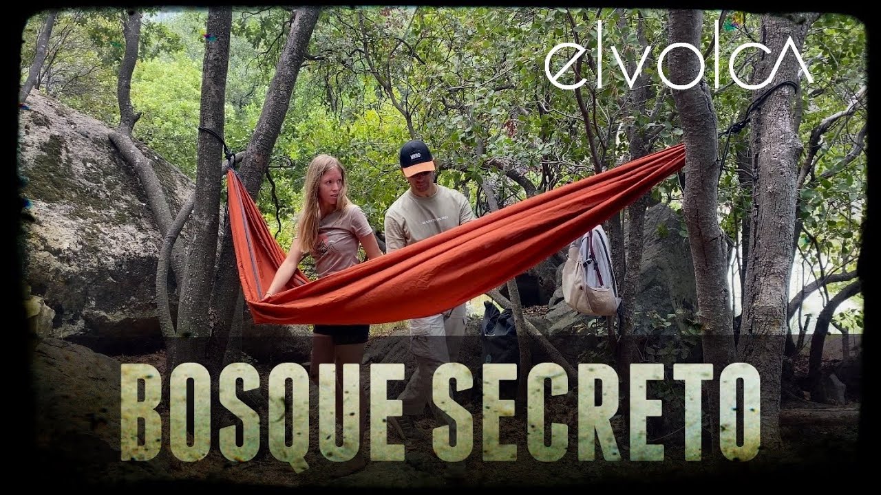 Un BOSQUE SECRETO en SANTIAGO. 🤫🌳 
