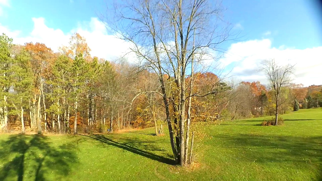 Diving Trees and Towers - FPV