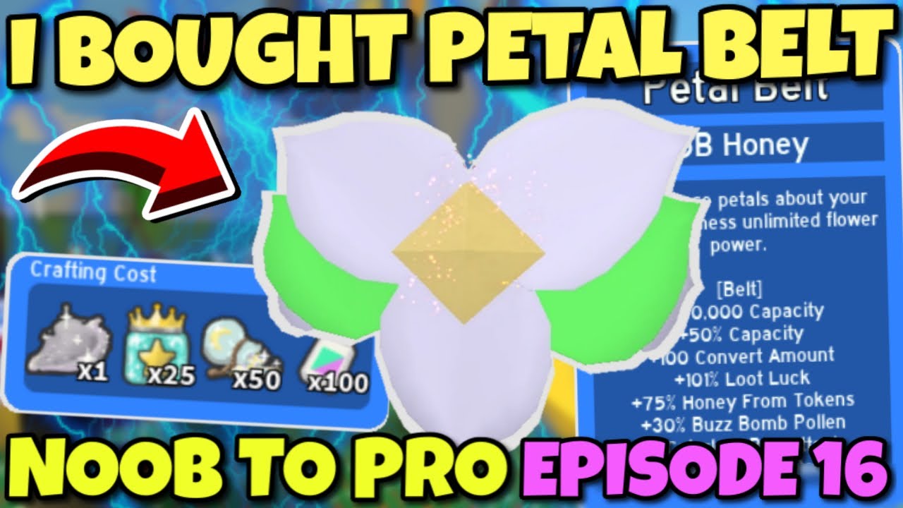 I BOUGHT PETAL BELT - Bee Swarm Simulator NOOB to PRO Episode 16