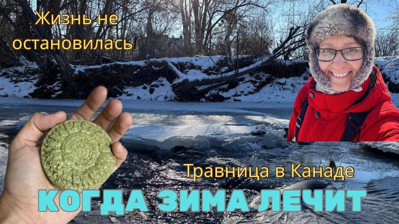 Травница в Канаде | Когда зима лечит - паста Амосова, сила трав и разговор с лесом
