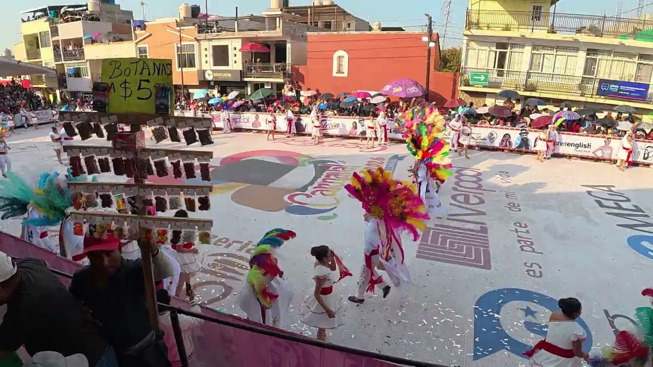 CAMADA FLOR DE UN DIA 2026