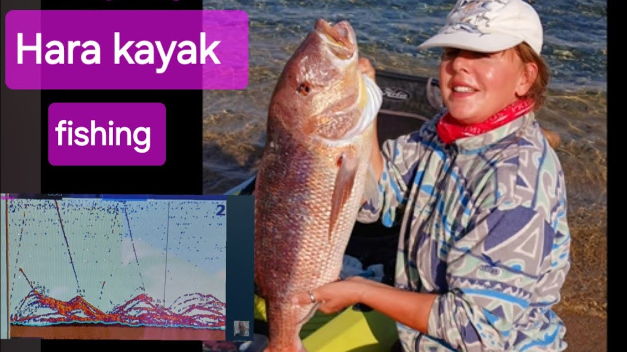 Το βυθόμετρο δεν έκανε λάθος, η επίθεση της συναγρίδας.. attack of the common dentex #kayakfishing