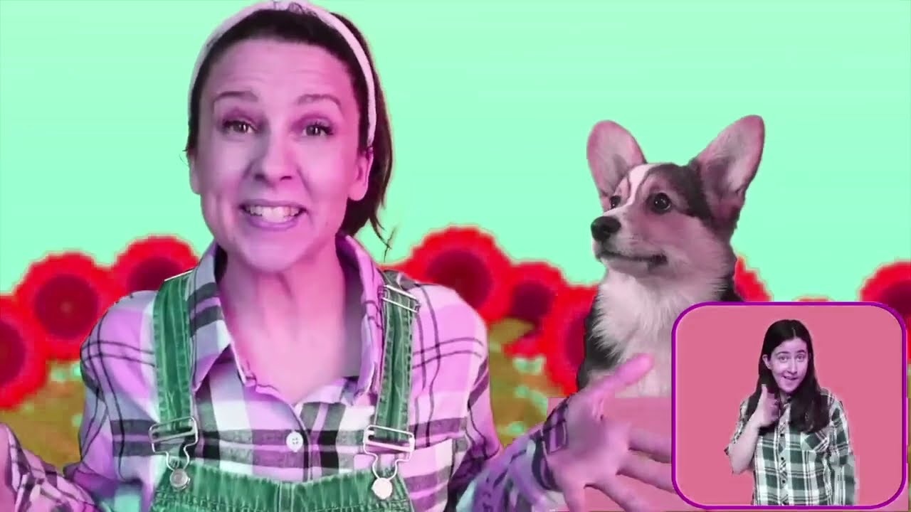 Dog 🐶 learning kids _Bingo Sing by Ms' Rachel  //Gamavision Csupo Effects 