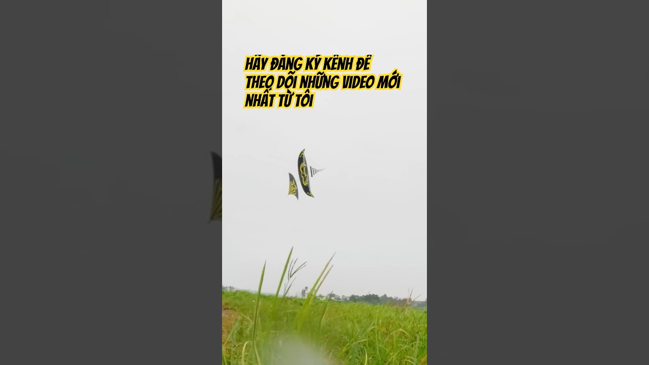 Ba S&oacute;i TV | Chiến b&atilde;o wipha c&ugrave;ng diều s&aacute;o khủng 7m #bas&oacute;itv #giantkite #saodieu #flyakite #basoitv