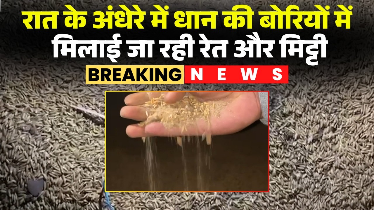 Sakti News: धान खरीदी केंद्र ओड़ेकेरा में भ्रष्टाचार। धान की बोरियों में मिलाई जा रही रेत और मिट्टी