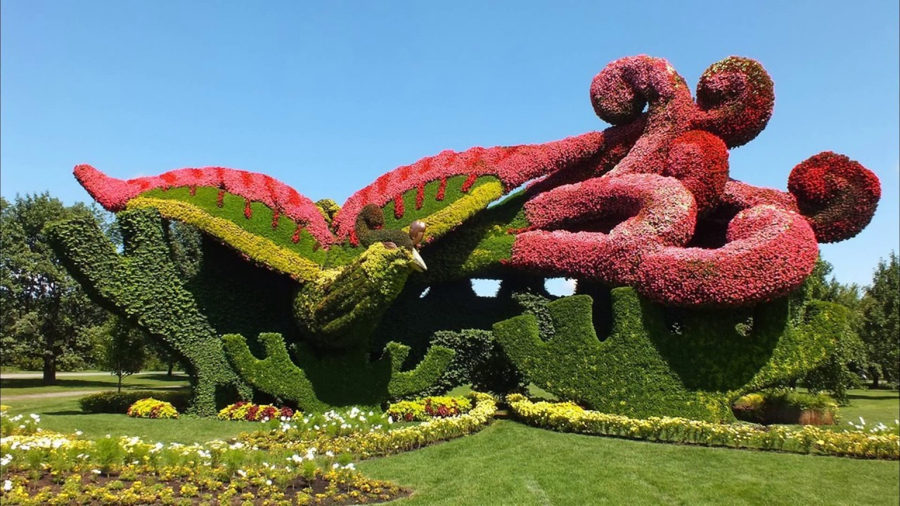 Amazing Topiary Art