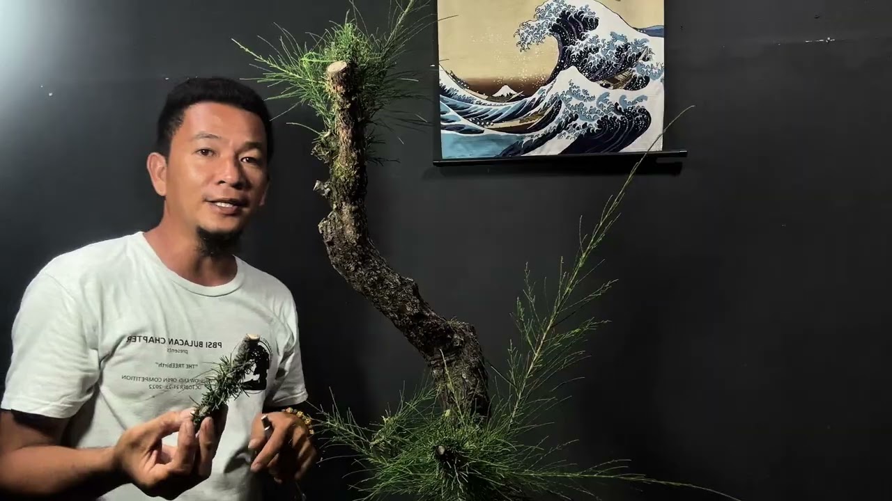 Vlog#77 papano bumuhay ng agoho at ano ano ang dapat gawin' #tips #bonsai #tutorial 💚🫶🏼🫡🌳🇵🇭