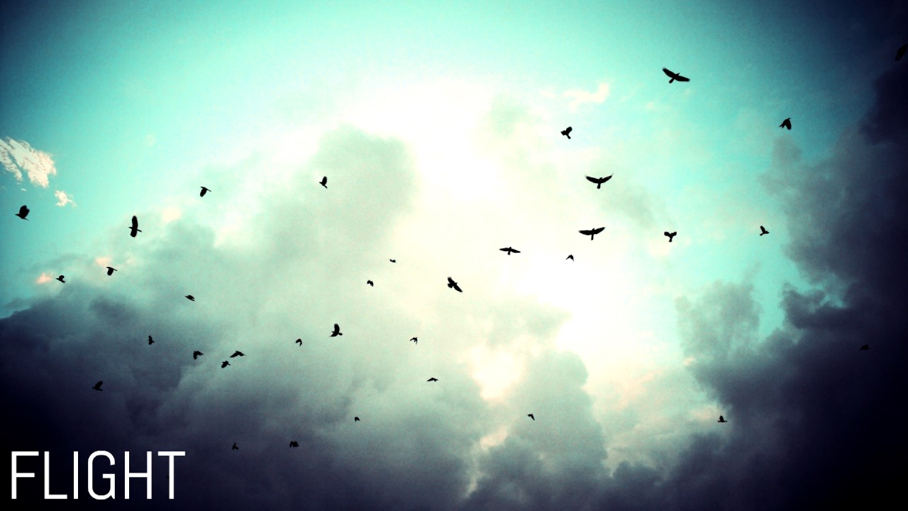 Flight - Susan H. Day