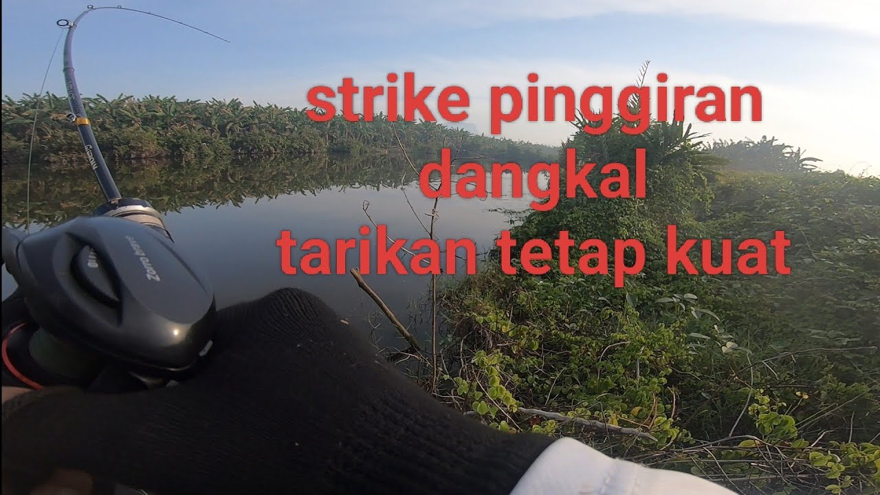 Kesting Gabus Dispot Angker