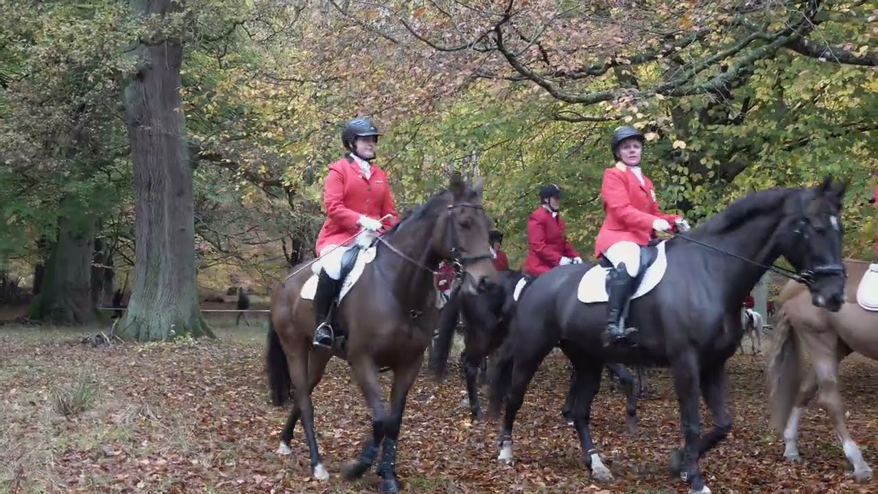 Hubertusjagten 2025 Up to 4K