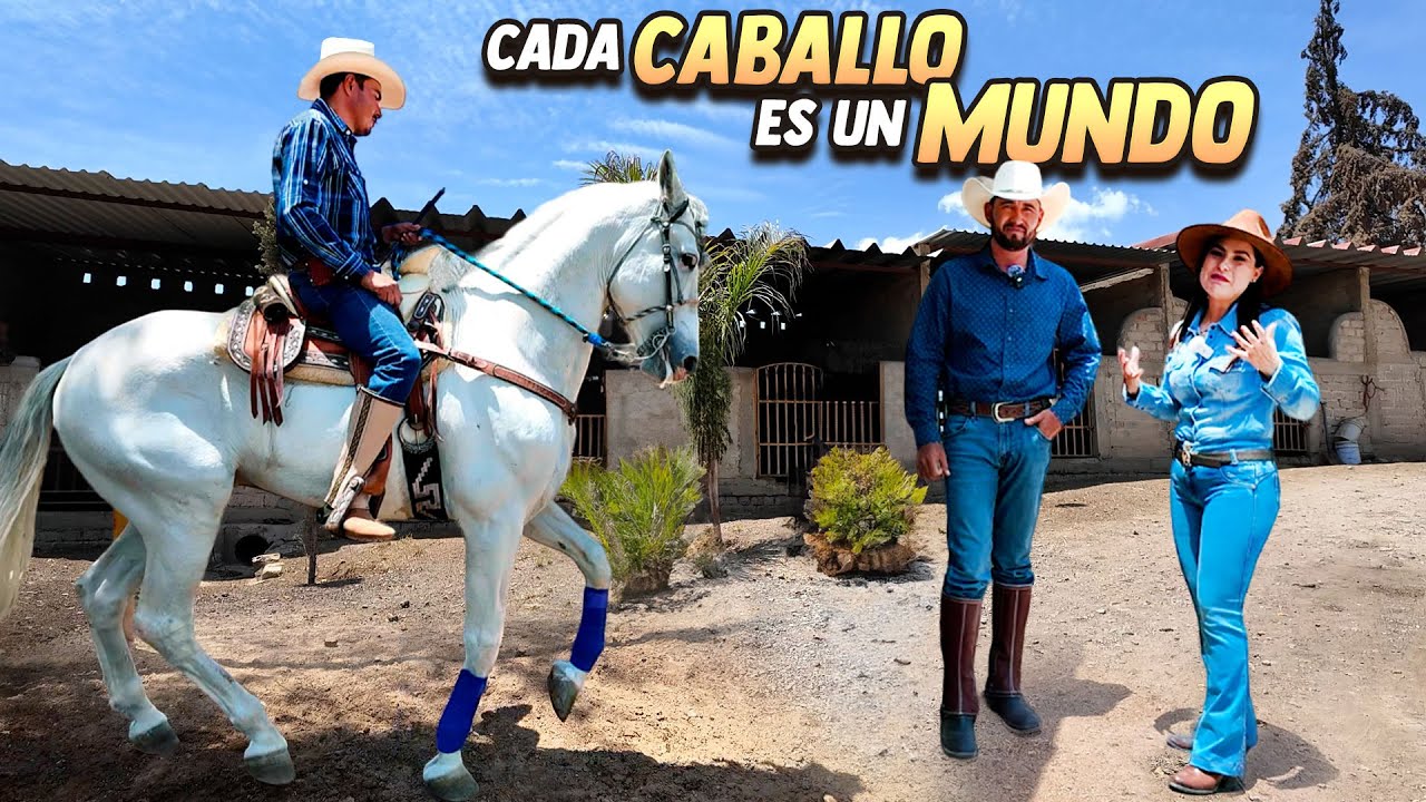 ARRENDADOR DE CABALLOS DE JOAN SEBASTIÁN | ALMA Coronel