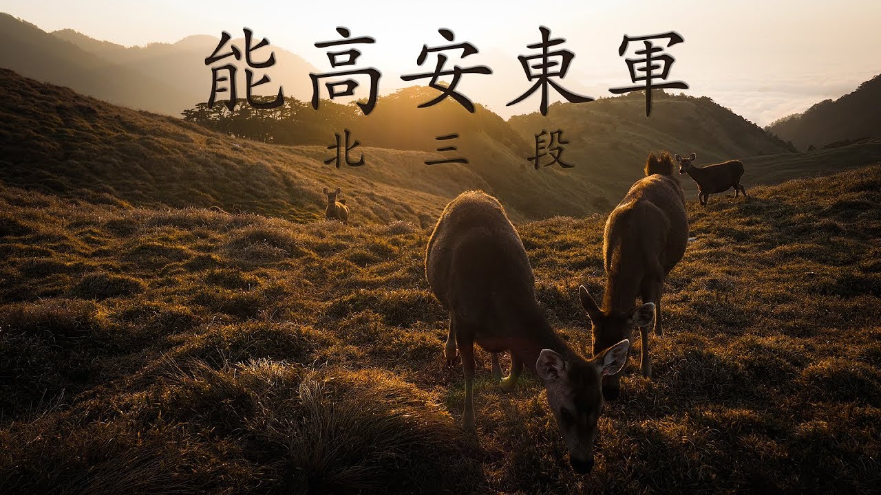 水鹿的家鄉 - 能高安東軍 空拍&縮時 by Allen Zhan