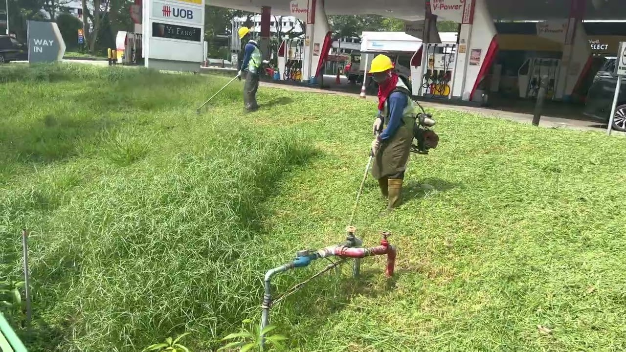 Singapore landscape garden work grasscutting