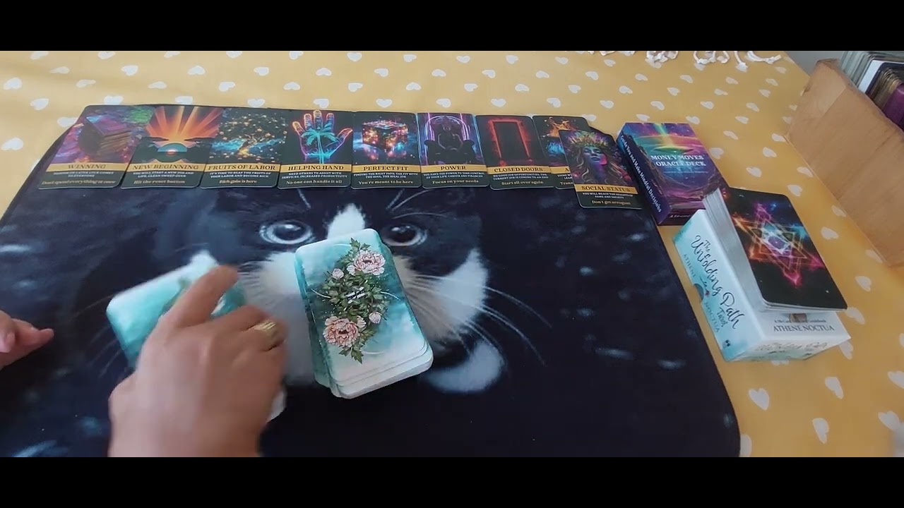 Aquarius Money Reading: Beginning of February