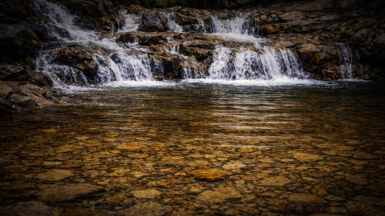 Water Sounds for Deep Sleep | Crystal Forest Pool & Gentle Falls (3 Hours, No Music)