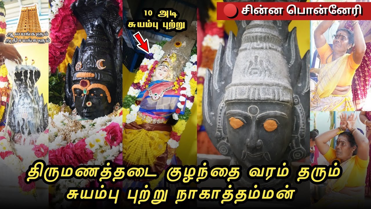 வேண்டிய வரம் தரும் சுயம்பு புற்று நாகாத்தம்மன் கோவில் கும்பாபிஷேகம் - ஆலயங்களும் அதிசயங்களும்