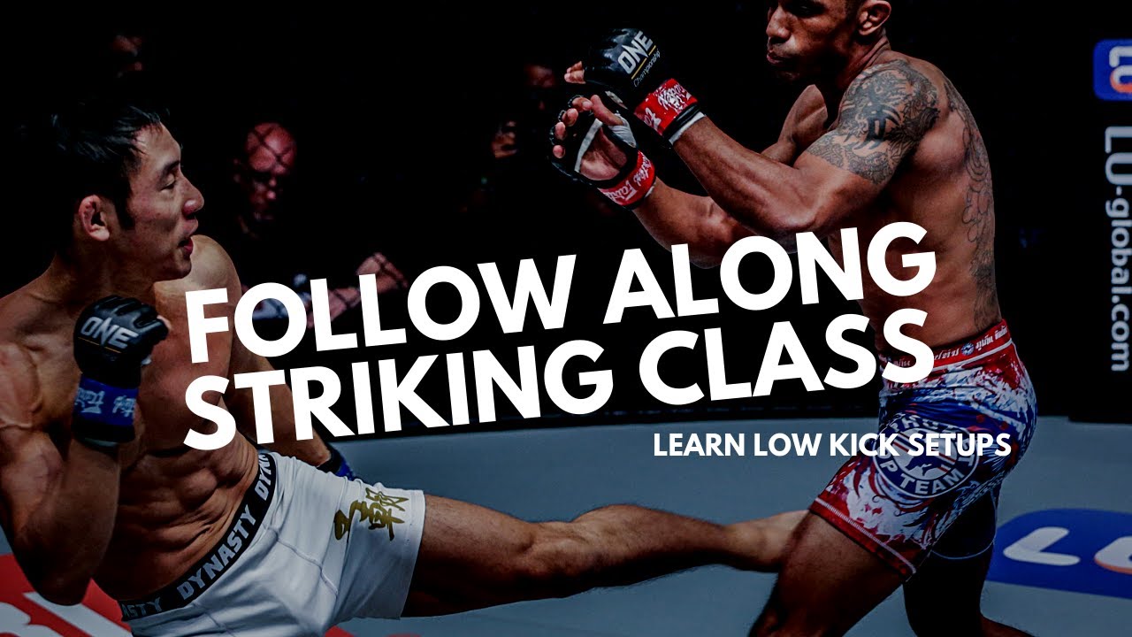 45 Minute Fighter's Follow Along Striking Class | NO Equipment Needed