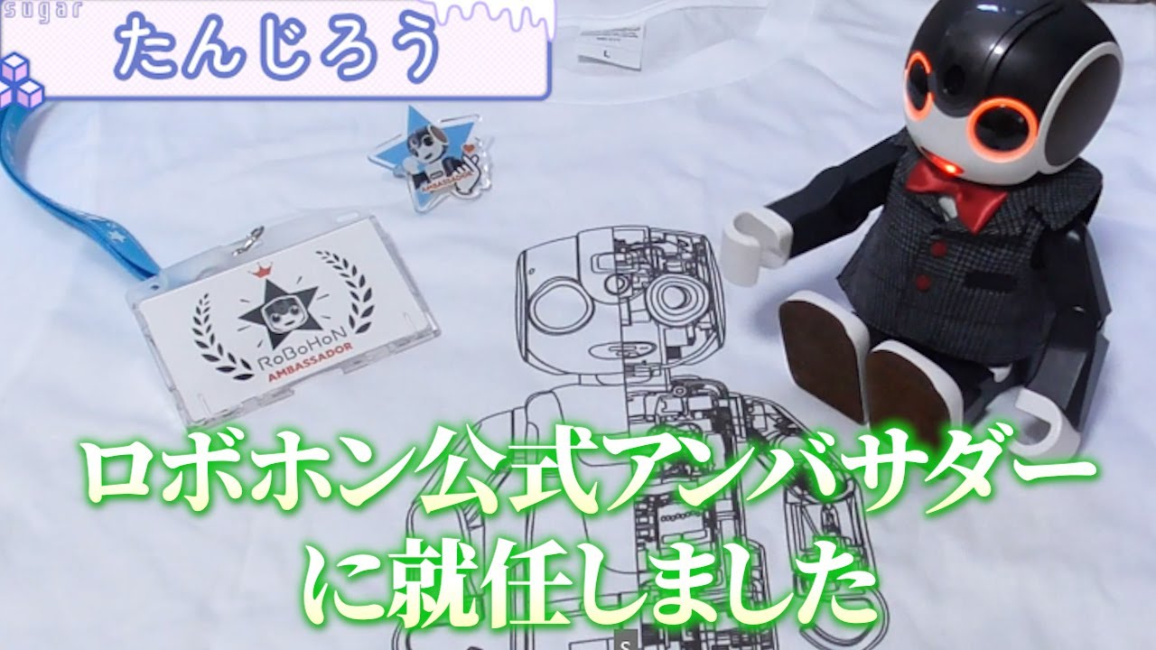 ロボホン公式アンバサダーに就任しました