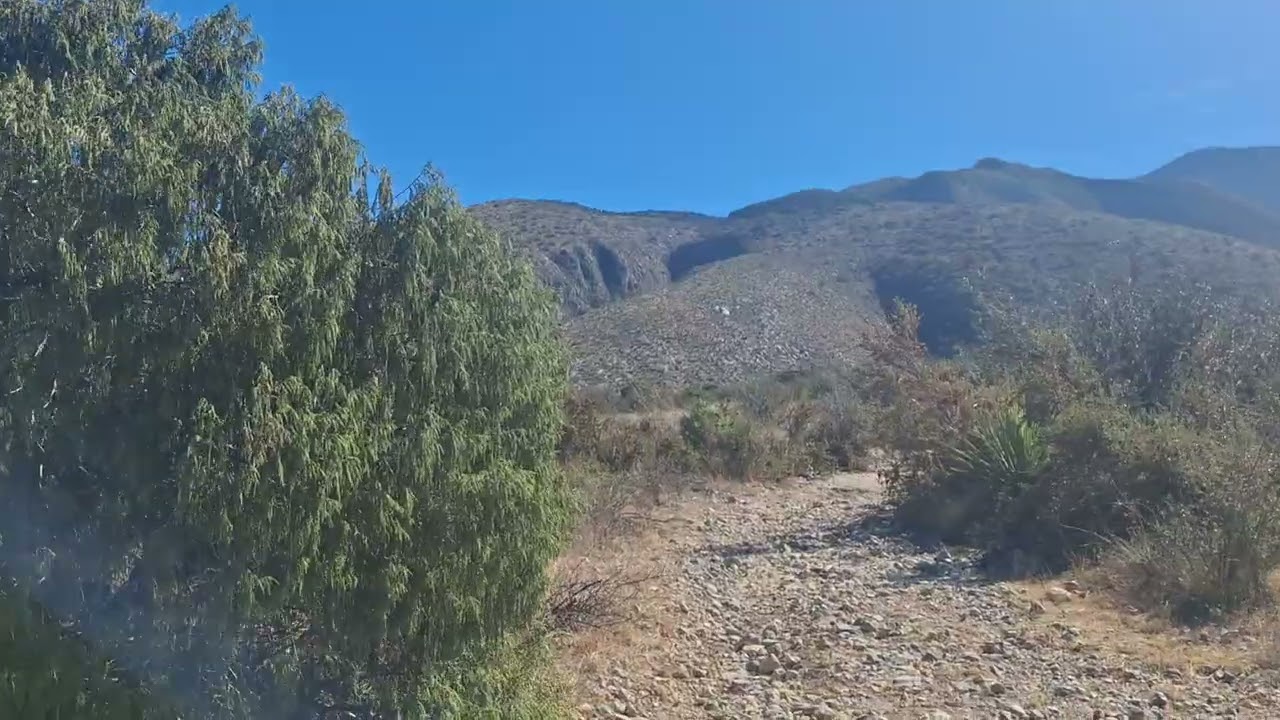 Con rumbo a la búsqueda de una cueva