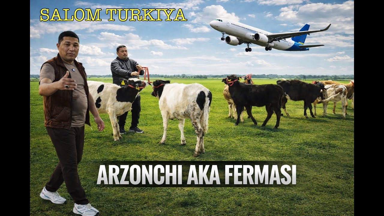 ARZONCHI AKA FERMASI G’UNAJINLA SOTILADI DAXSHAT ARZON FOYDASI BOR ZIYONI YO’Q