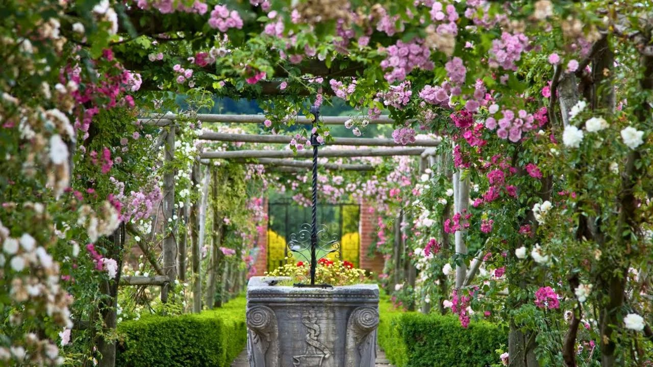 English summer garden in action Polesden Lacey #englishgarden #england #rose