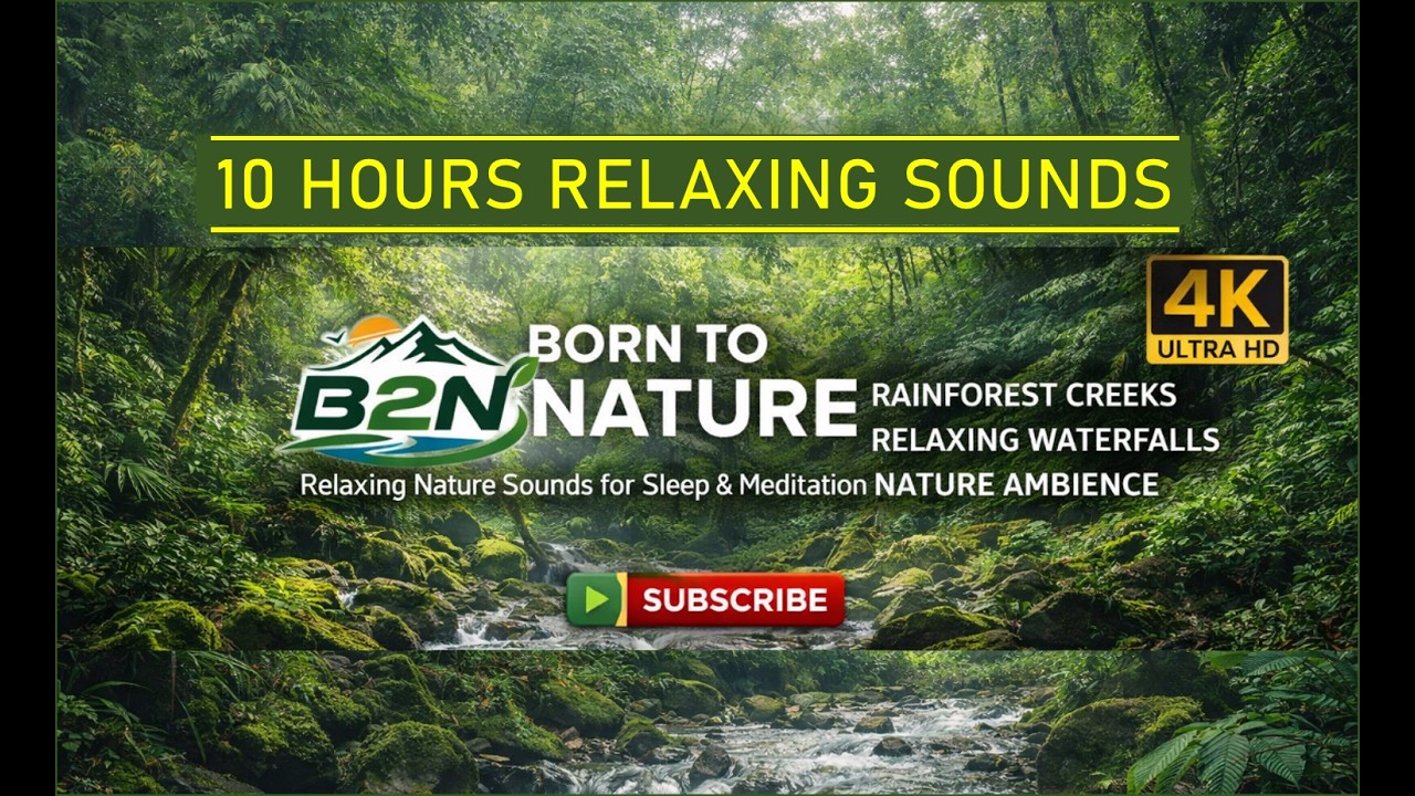 Mountain Valley Creek | Natural Water Sounds for Relaxation & Sleep | 10 Hours | 4K