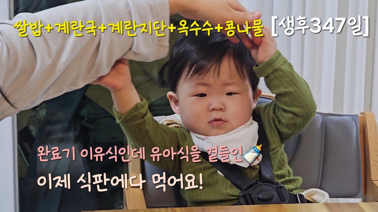 2026년 2월 22일(생후347일) - 완료기 이유식인데 유아식을 곁들인 식판식사! 냠냠